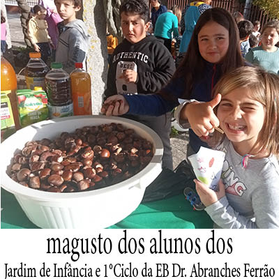 20231214 magusto